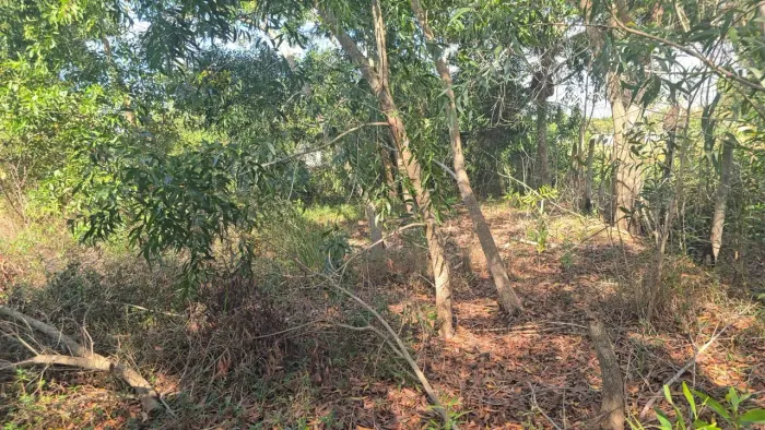 LOTE 600 M² DE ESQUINA COM VISTA PARA O MAR, PONTA DA FRUTA, VILA VELHA, PARCELO, TROCO