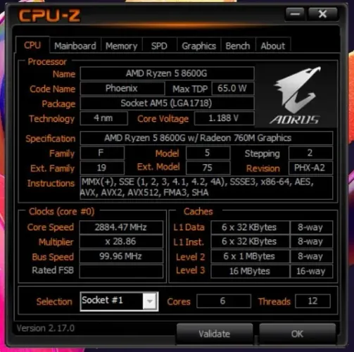 ryzen 8600g
