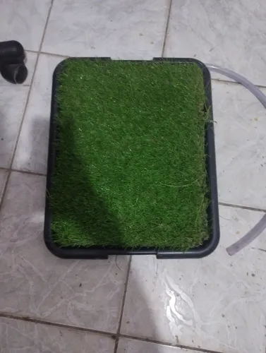 Sanitário pet