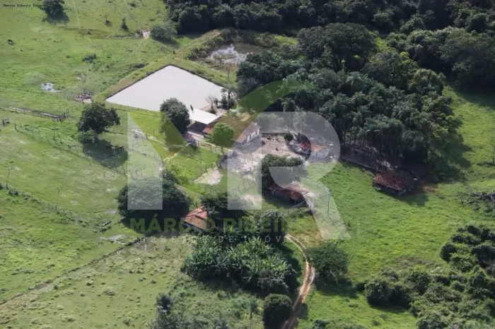 Fazenda com 40 alqueires em Pontalina - Goiás