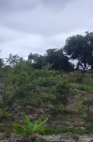 Chácara 9200m2 Cristália MG ,terreno plano
