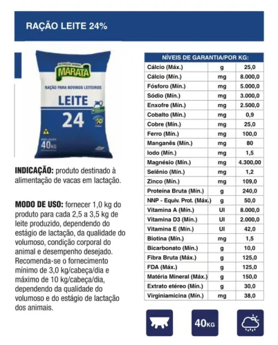 Ração Vacas de Leite 24%