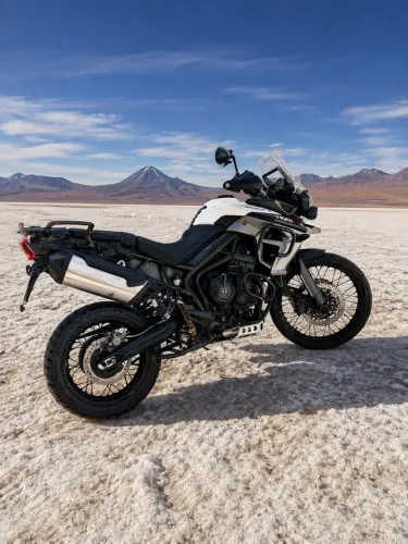 Tiger 800 de dono