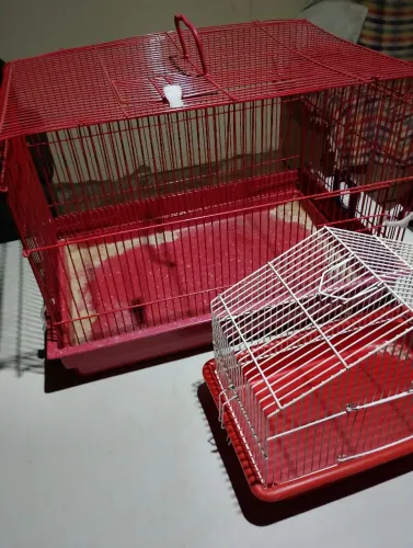 Gaiolas para Hamster ?