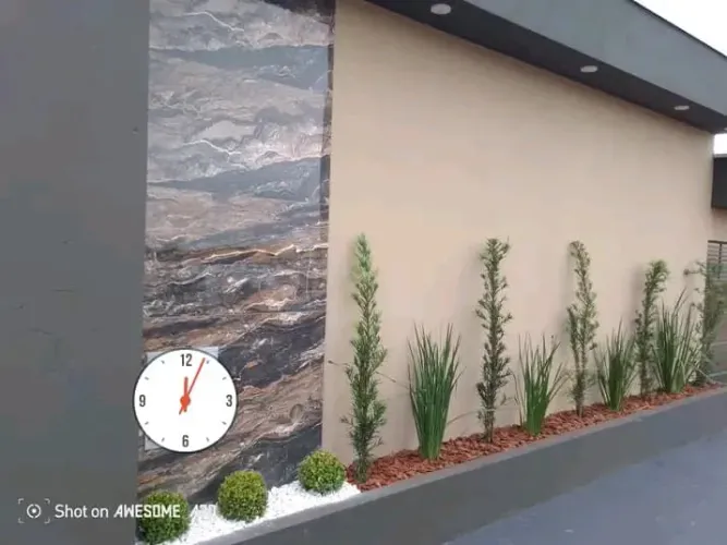 Plantas podocarpos e pedras ornamentais