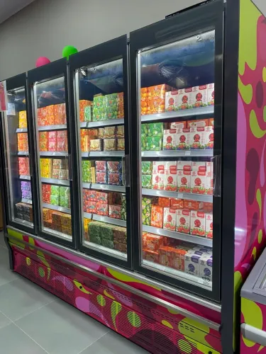 FREEZER 4 PORTAS CONGELADO