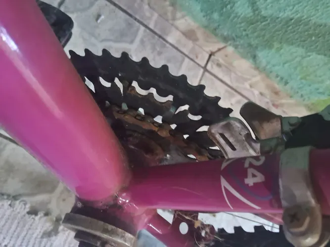 Bicicleta
