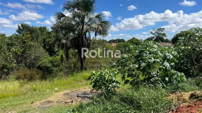 Terreno à venda, Nossa Senhora das Graças - Uberlândia/MG - Rotina Imobiliária