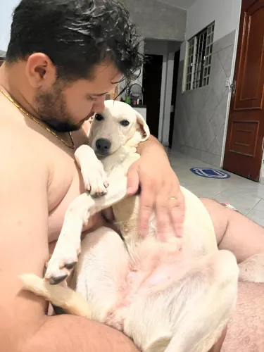 Fêmea para adoção 