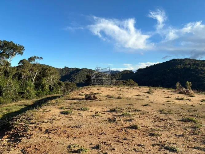 Terreno Rural para Venda em Angelina, ALTO GARCIA