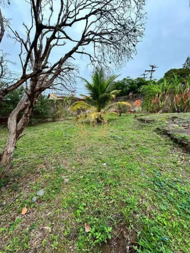 Terreno de 600 m², esquina, plano e murado à venda Centro (Iguabinha), Araruama/RJ