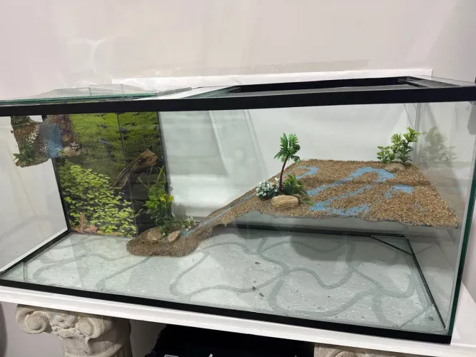 Aquaterrario novo vidro plataforma decorada sump de filtragem