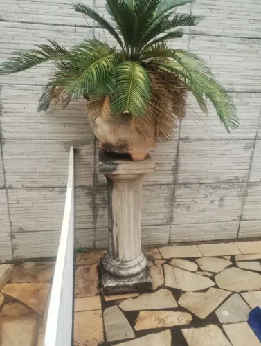 varios vaso de flor mais pedestal e suporte de parede 