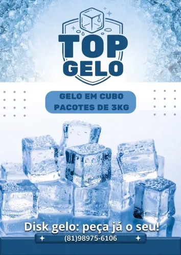 ? Gelo em Cubos 3 Kg ?