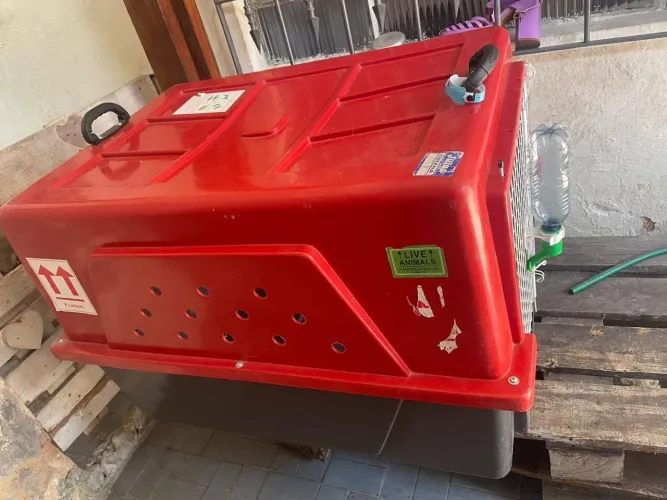 Casinha de cachorro grande/ médio porte vermelha