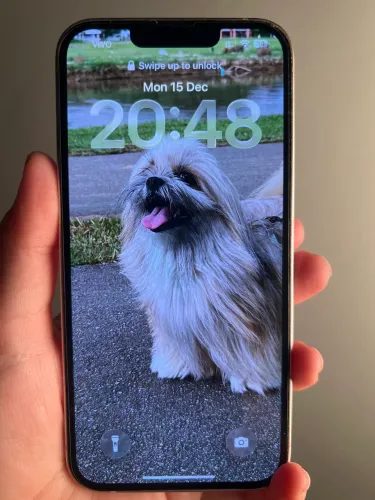 Iphone 13 128gb rosa em perfeito estado 