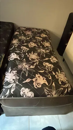 Cama