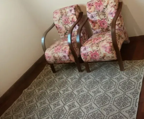 Vendo 2 Poltronas com tapete por apenas 300 reais