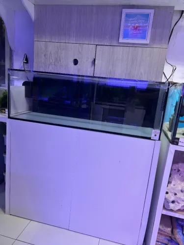 Aquário completo! Aquário,móvel,sump e caixa de reposição 120x40x40