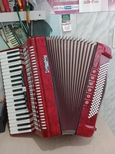 Sanfona todeskini 120 baixos nova