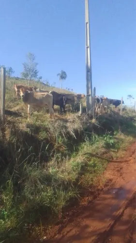 Sítio de porteira fechada