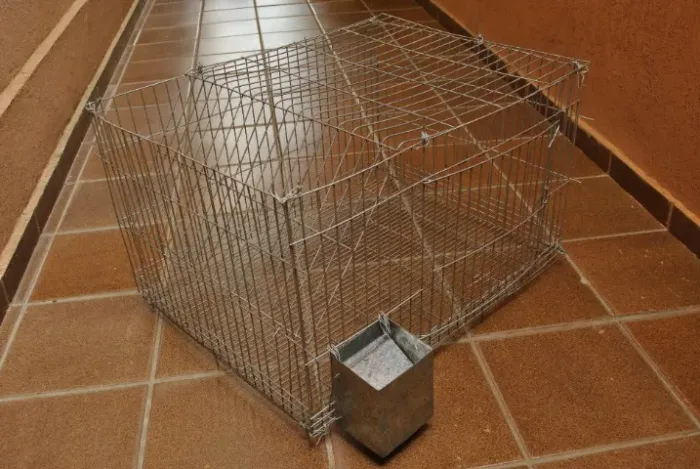 Gaiolas grande para coelhos e roedores