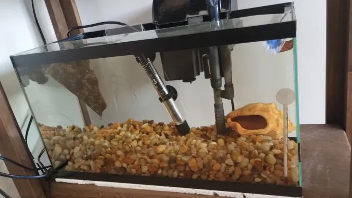 Aquário 20 litros Completo