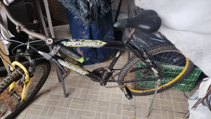 Bicicleta