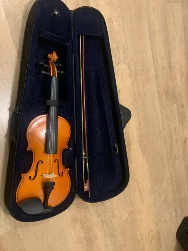 Violino