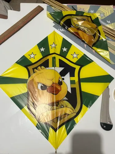 Pipa