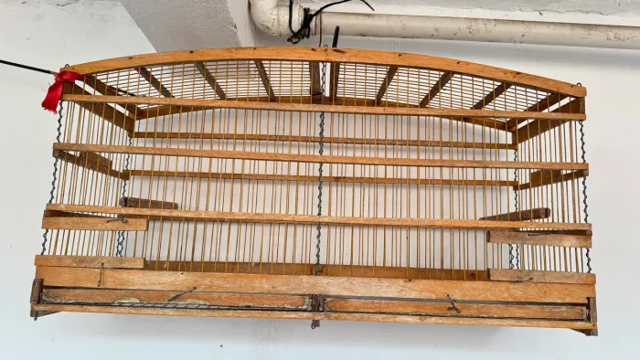 VOADOR SEMI NOVO 70 cm