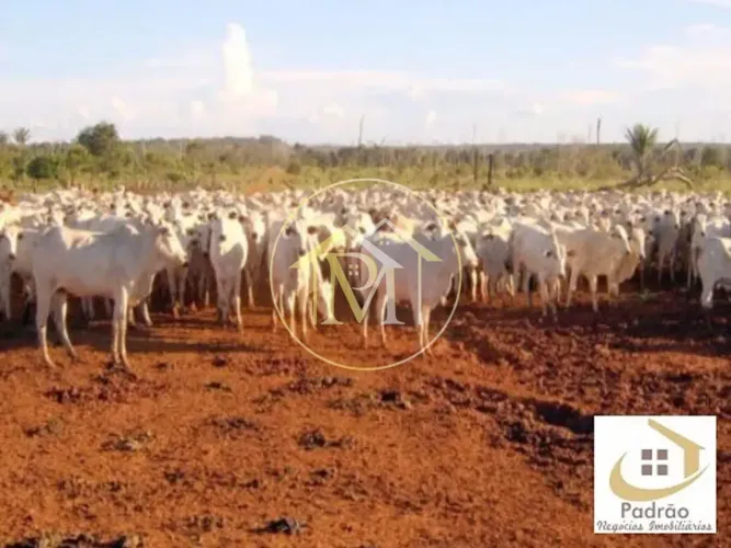 Área Rural à venda, , - AR0058.