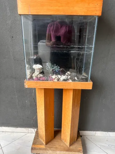 Aquário com suporte de madeira + decoração e iluminação