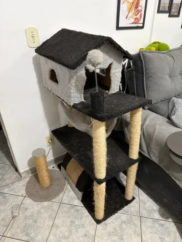 Casinha de gato