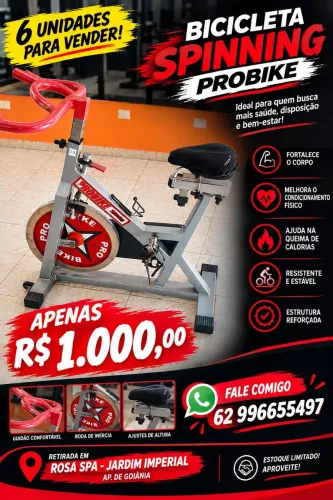 Bicicleta Spinning ProBike Seminova