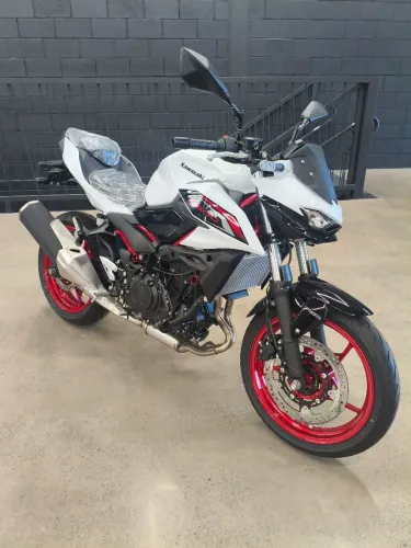 Z500 SE