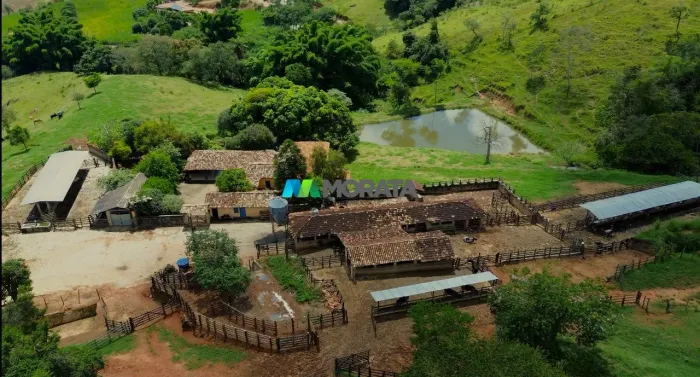 FAZENDA À VENDA - 126 HECTARES - PIRACEMA (MG)