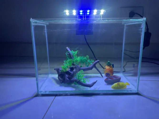 Aquário pequeno + luz + decoração