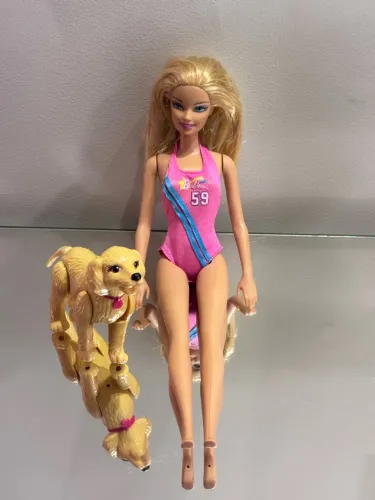 Boneca Barbie Nadadora Dreamhouse Com Cachorrinha Taffy Mattel 2013 Original Rara