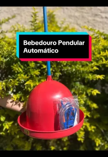 Bebedouros pendula automático 