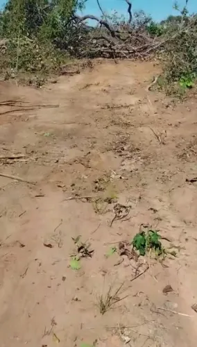 Fazenda no município de São Valério 
