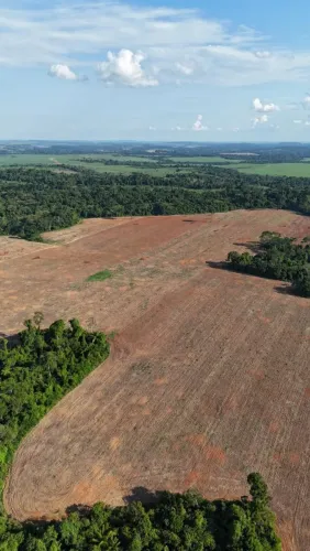 Fazenda de arrendamento Soja ,900 hec em Apiaçás MT. Argila acima de 30%