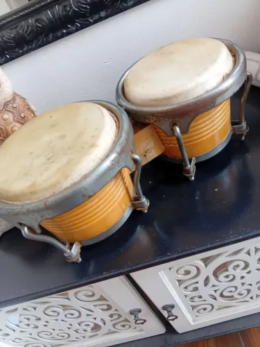 Bongo