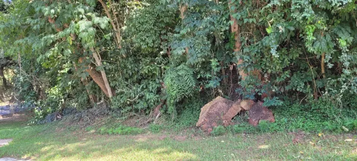 Terreno 1110m² Serra da Cantareira - Mairiporã - SP