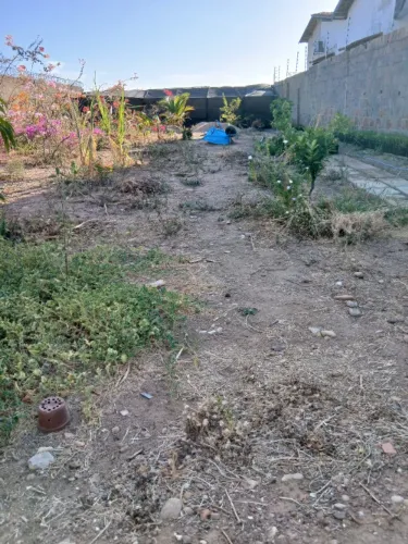 Terreno à venda no Costa e Silva