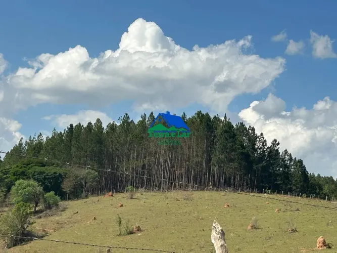 ? FAZENDA COM 129 HECTARES EM SERRANOS - SUL DE MINAS GERAIS