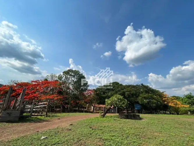 Fazenda 185ha | Pasto + Açudes + Ribeirão | Taquaruçu | Oportunidade