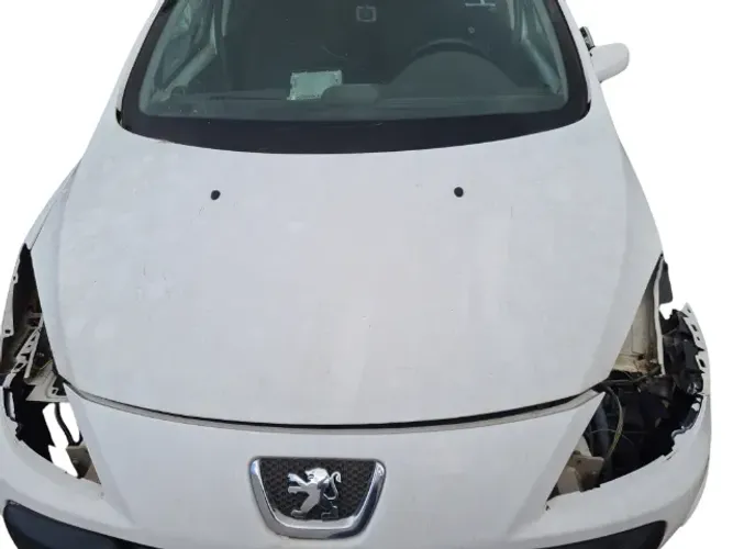 capo peugeot 307