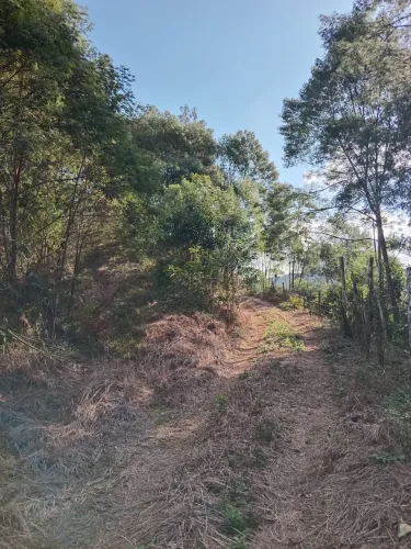 Terreno à venda em Antônio Carlos - Bairro Egito |