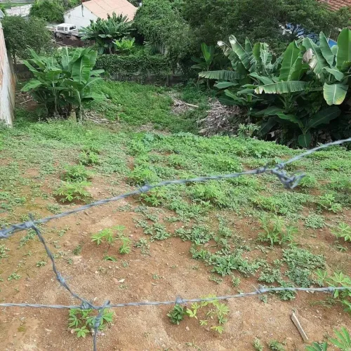Lote à Venda em Bela Vista - Leopoldina
